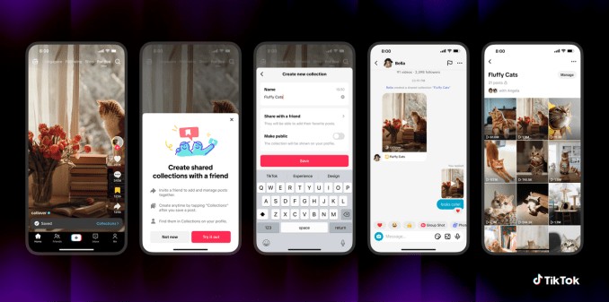 tiktok adds a space for organizing content with others, teases ‘shared feeds’
