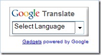 translate-foreign-website-text-to-your-native-language-2-5.jpg
