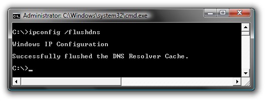 troubleshoot-browsing-issues-by-reloading-the-dns-client-cache-in-vista-1.jpg