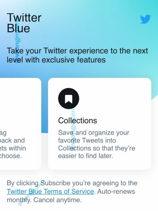 twitter blue, a $3 monthly subscription service, could be coming soon