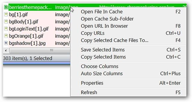 view-internet-explorer-cache-files-the-easy-way-4.jpg