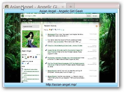 view-webpage-name-address-with-tab-popup-for-firefox-1.jpg