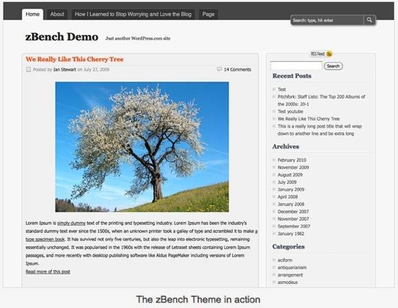 wordpresscom-blog-selfhosted-professional-3.jpg