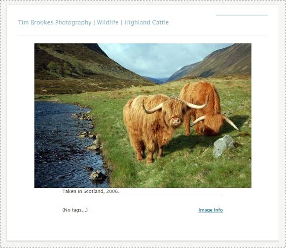 zenphoto-mighty-powerful-photoblog-engine-website-8.jpg