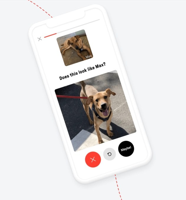 zocdoc founder returns with shadow, an app that finds lost dogs