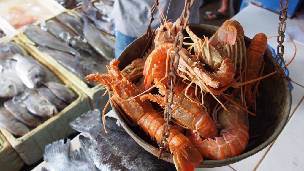 Aruna Secures $35M Funding to Expand Sea-to-Table Platform