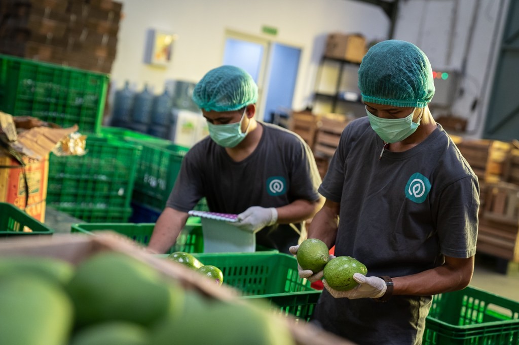 Tanihub Group Secures $65.5M Series B Funding - Agritech News