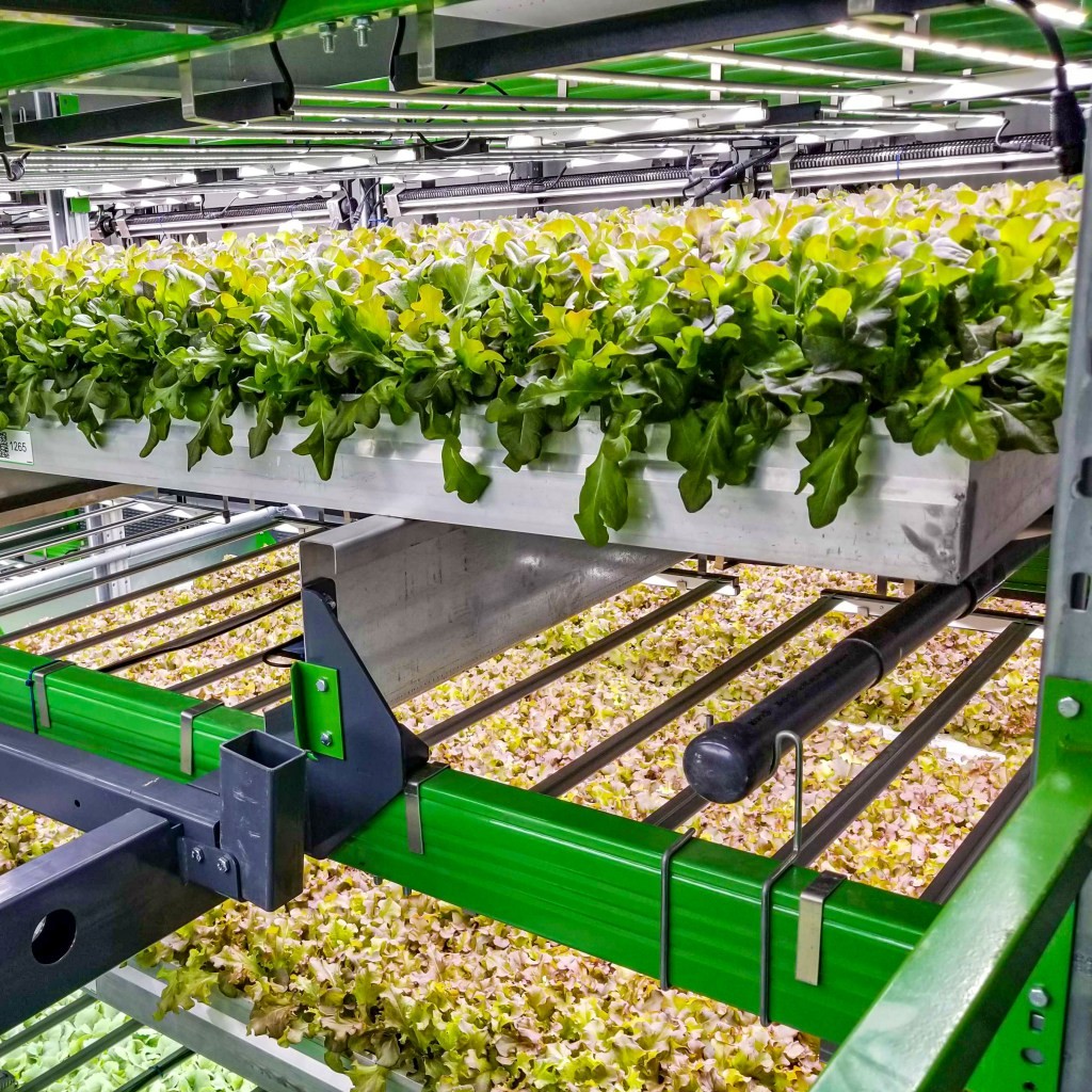 Bowery Farming Raises $300M to Expand Indoor Farms