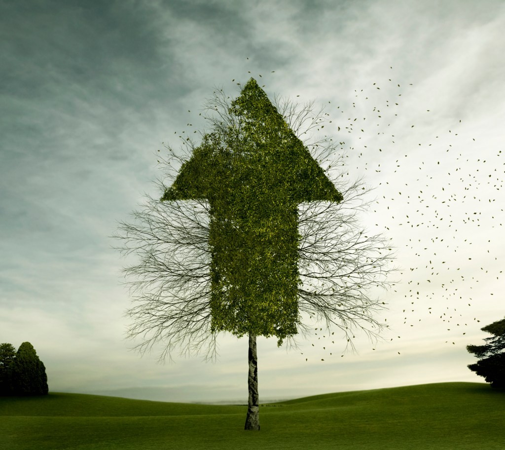 Usage-Based Pricing: The Rise of Pay-as-You-Go