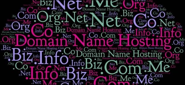 Name Server vs. Domain Name Search: Understanding the Difference