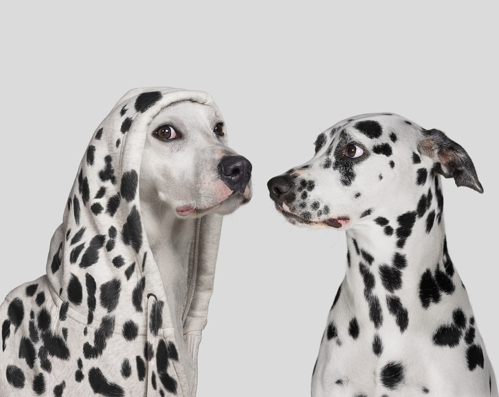 Borrowing Ideas for Your Startup Website: It's Okay!