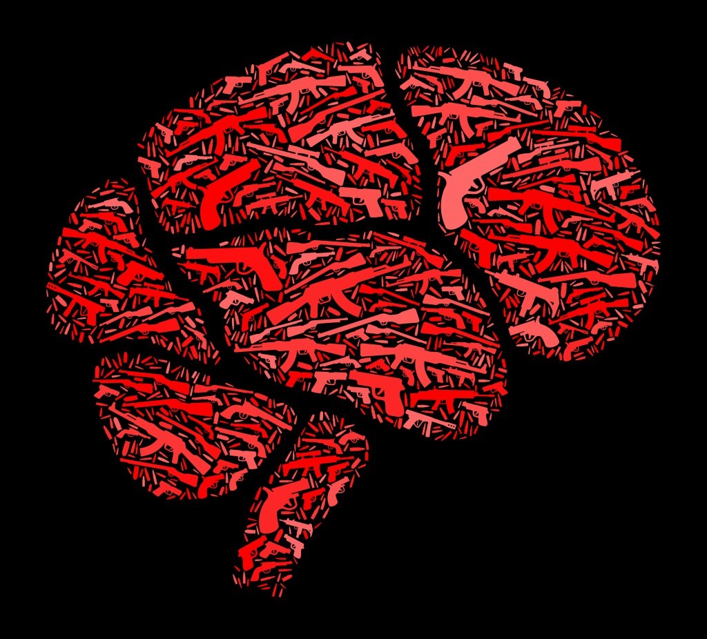 Ending the War at Home for TBI Troops - Support & Resources