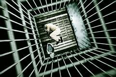 iPhone Jailbreak: One-Slide Method