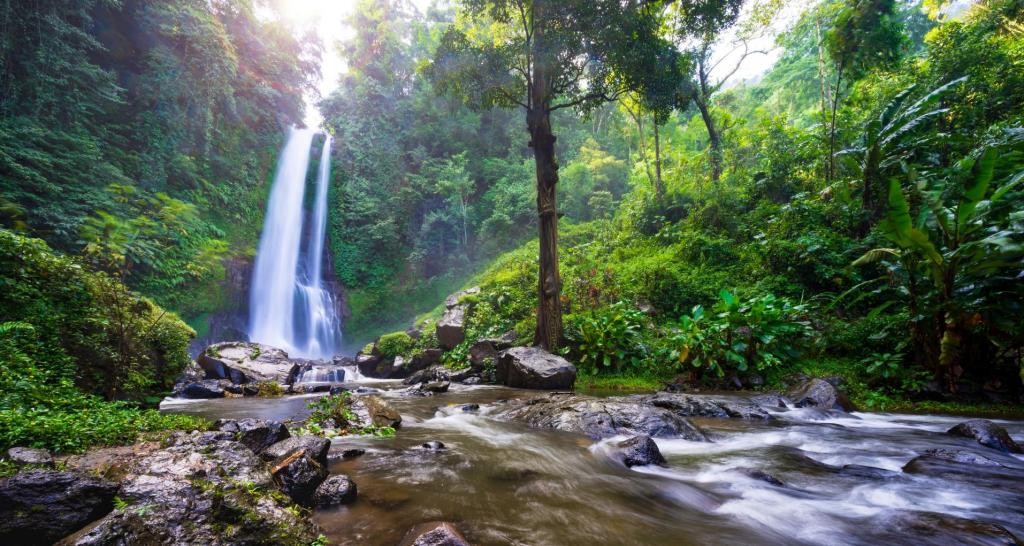 Jungle Scout Raises $110M & Acquires Downstream Impact