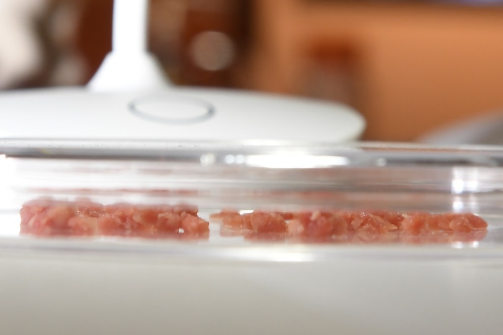 EU Funds Lab-Grown Meat Project - First Public Investment