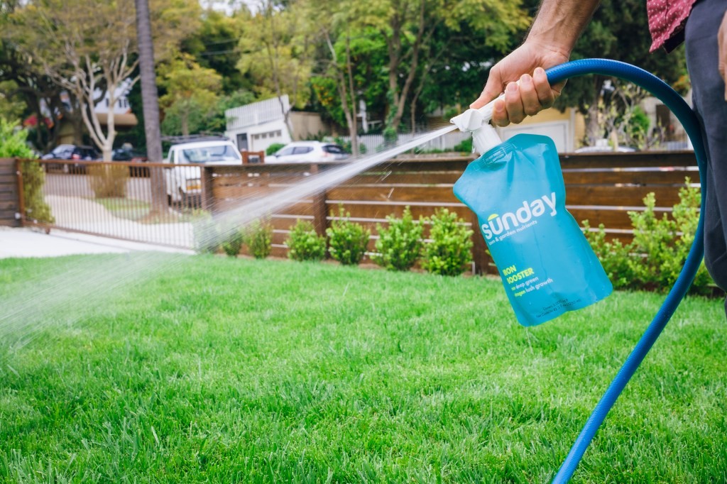 Lawn Startup Sunday Raises Millions for Backyard Improvement