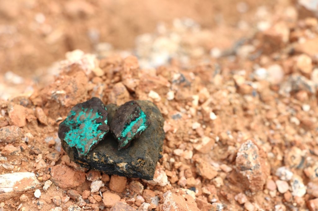 LG Energy Solution Secures Nickel & Cobalt Deal with Australian Miner