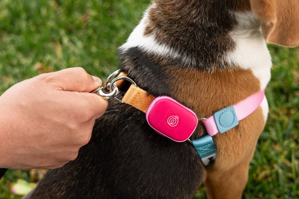 Life360 Launches GPS Pet Tracker | Location Technology