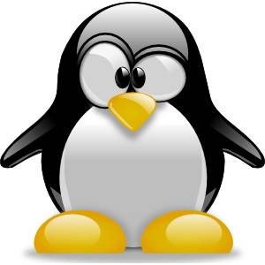 Why Linux Falls Short: An Honest Opinion