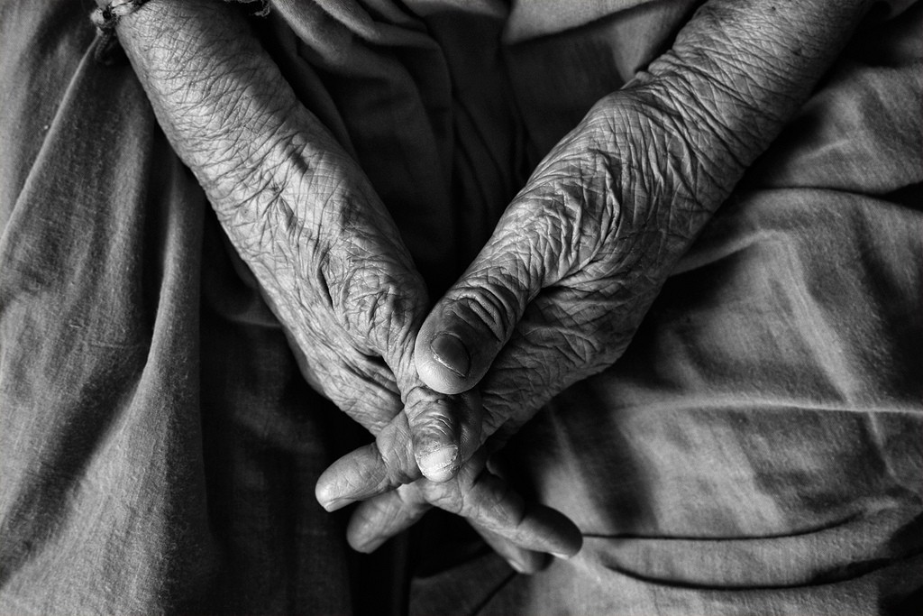 Longevica Raises $2.5M for Open Life Extension Research