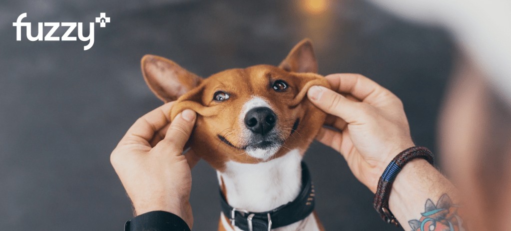 Fuzzy Expands into Pet Care with New Funding