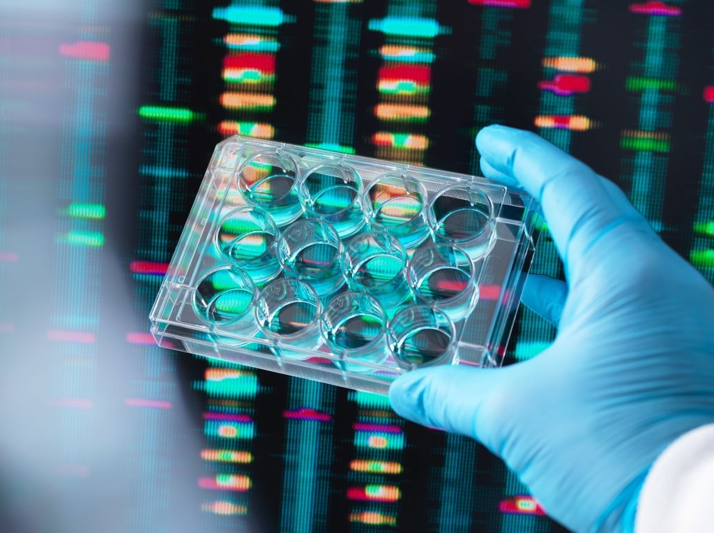 Maryland and Montana Limit Police DNA Database Access