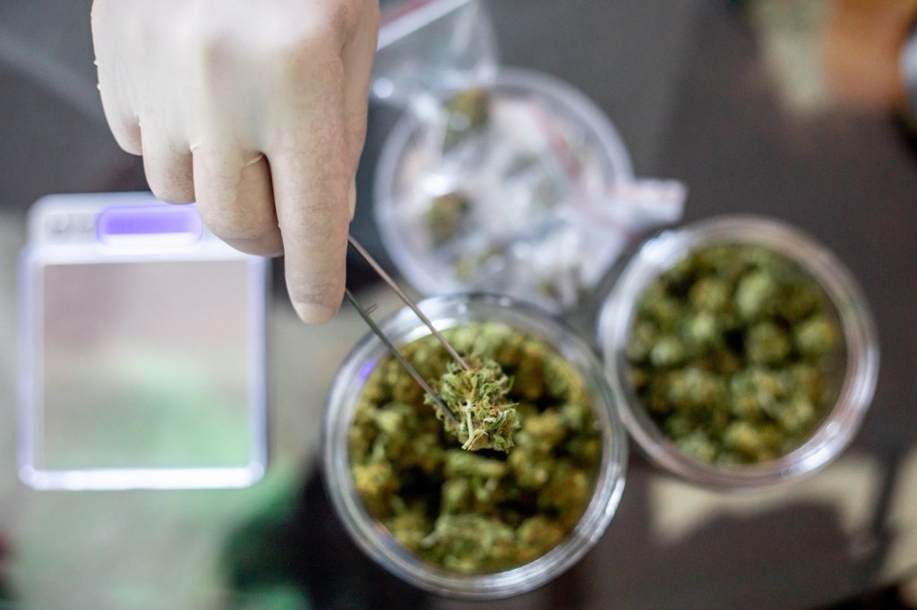 Cannabis Dispensary Marketing Tool | Meadow