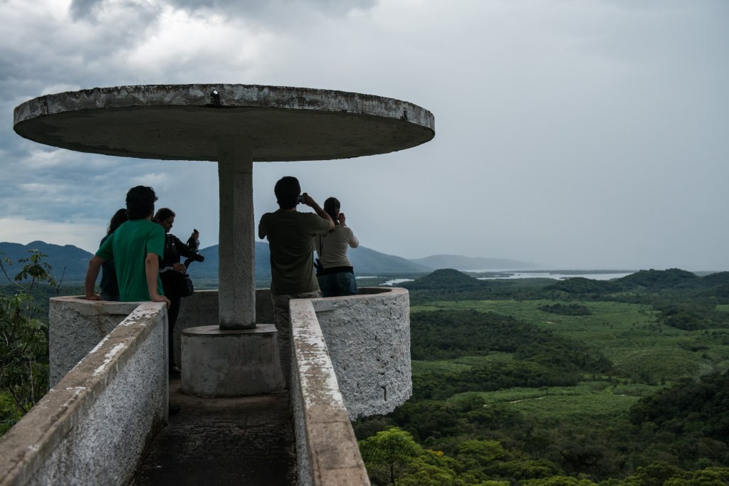Mercado Libre Invests $8 Million in Rainforest Restoration with Pachama