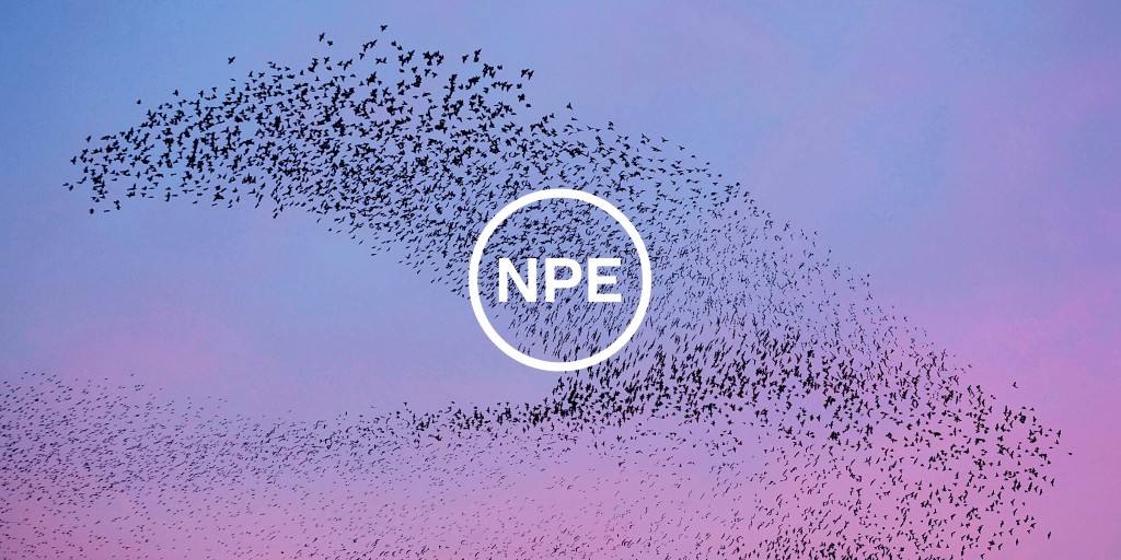 Meta's NPE Team Expands Globally with Seed Investments
