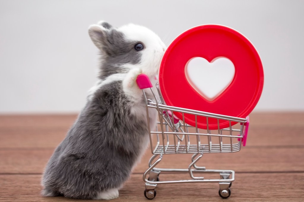 Microsoft Edge Shopping Tools: New Features & Updates
