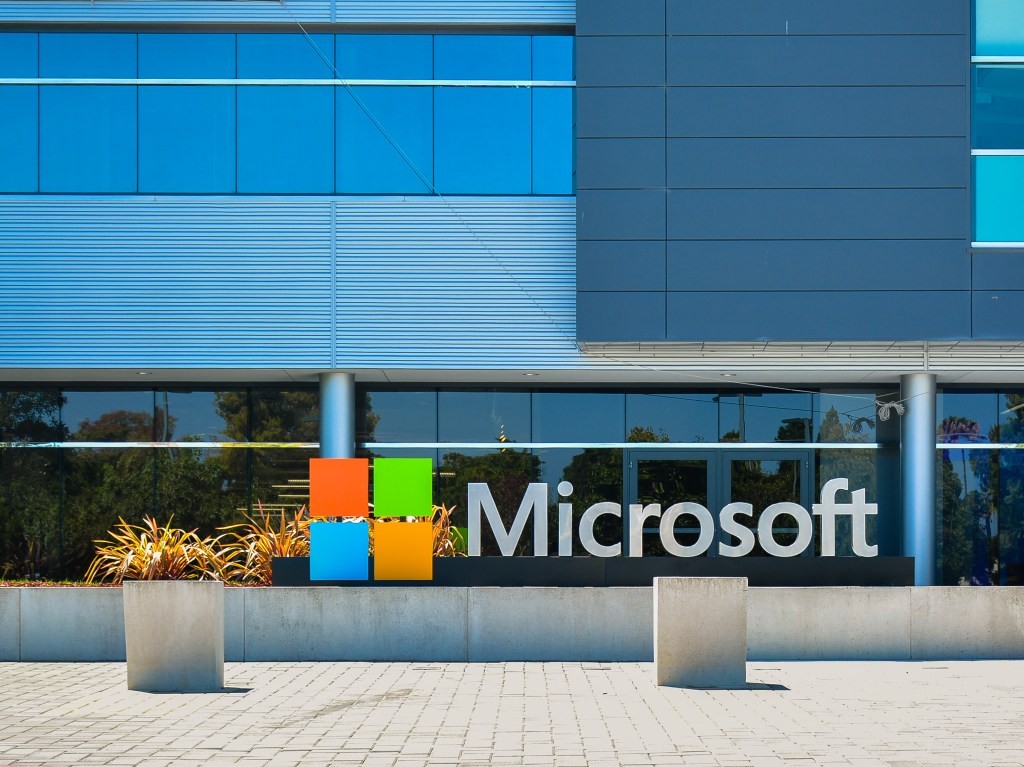Microsoft Takes Down Malicious Homoglyph Domains | Cybersecurity News