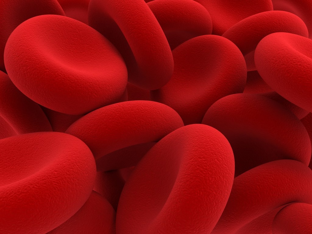 Miraqules at TechCrunch Disrupt 2025: Revolutionizing Blood Clotting