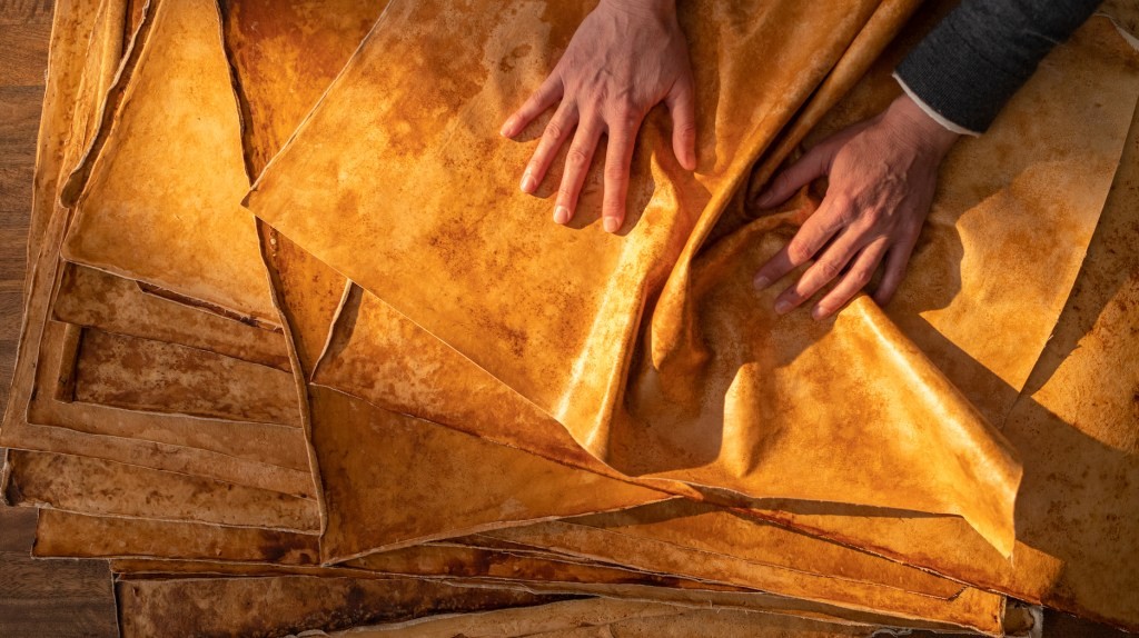 mycoworks Raises $125M to Scale Fungal Leather Production
