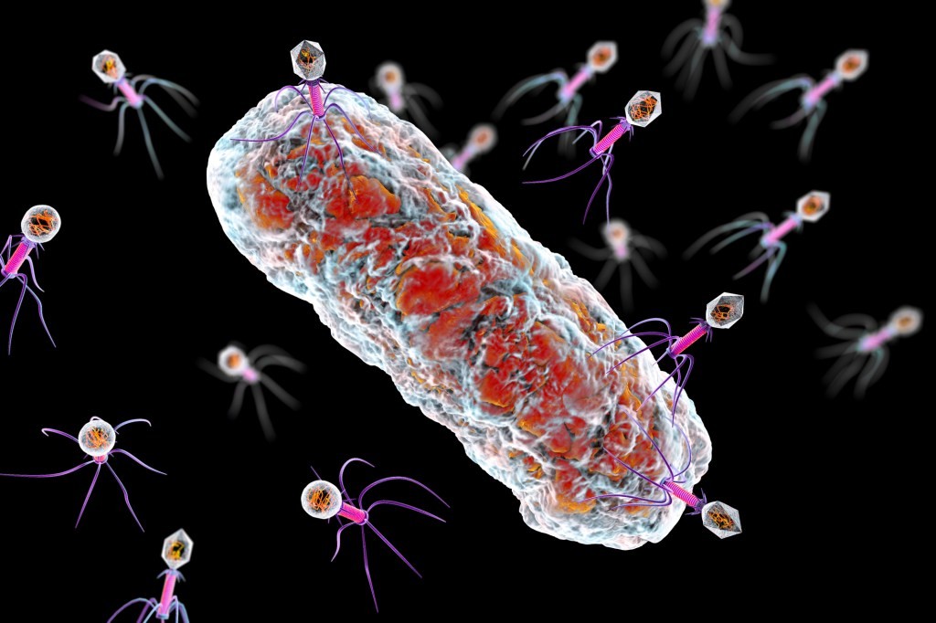 Locus Biosciences CRISPR-Cas3 Trial Data Shows Promise