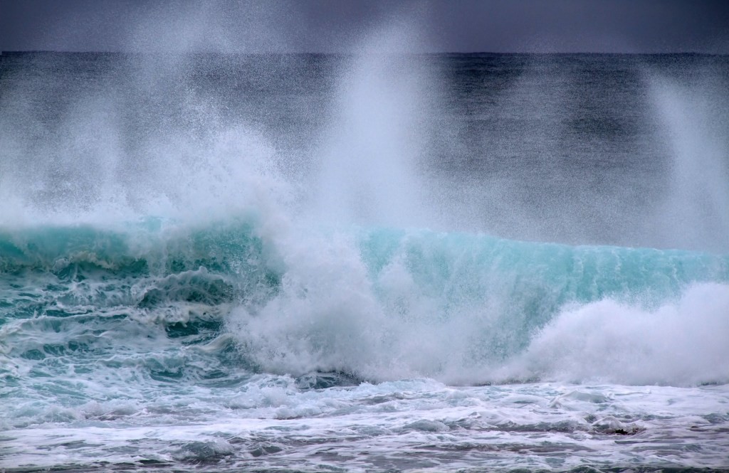 NFT Kingpin OpenSea Lands Monster $13.3B Valuation in New Raise