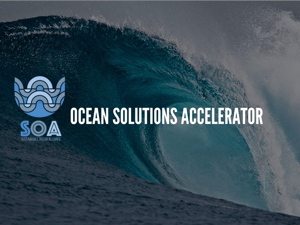 Ocean Solutions Accelerator Expands to Support Later-Stage Blue Economy Companies