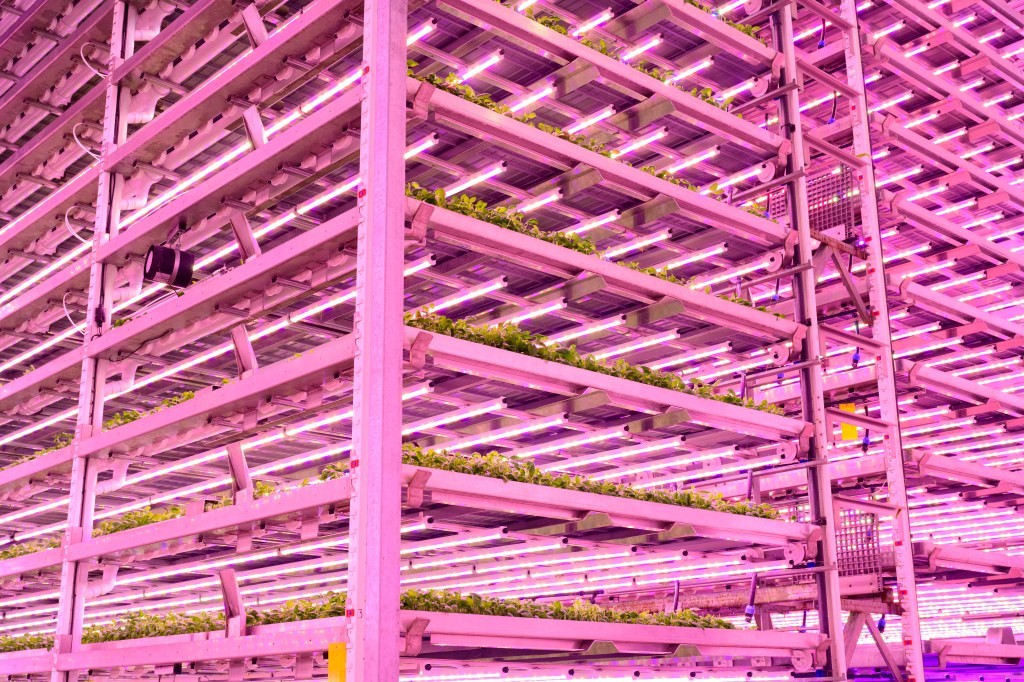 10 Years of The Vertical Farm - A Retrospective