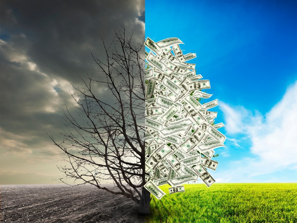 Series A to Unicorn: The Power of Debt Financing