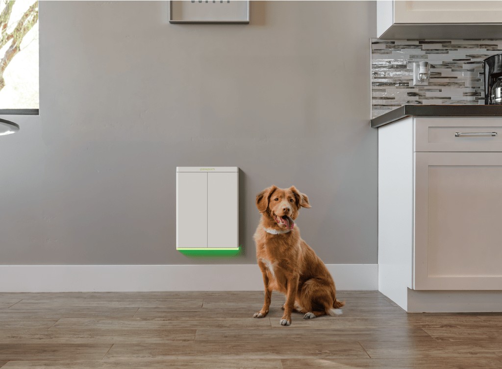 Pawport Smart Pet Door at CES 2024 - New Features & Updates