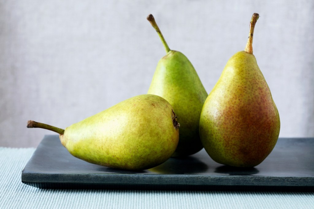 pear Demo Day 2024: Key Takeaways & Highlights