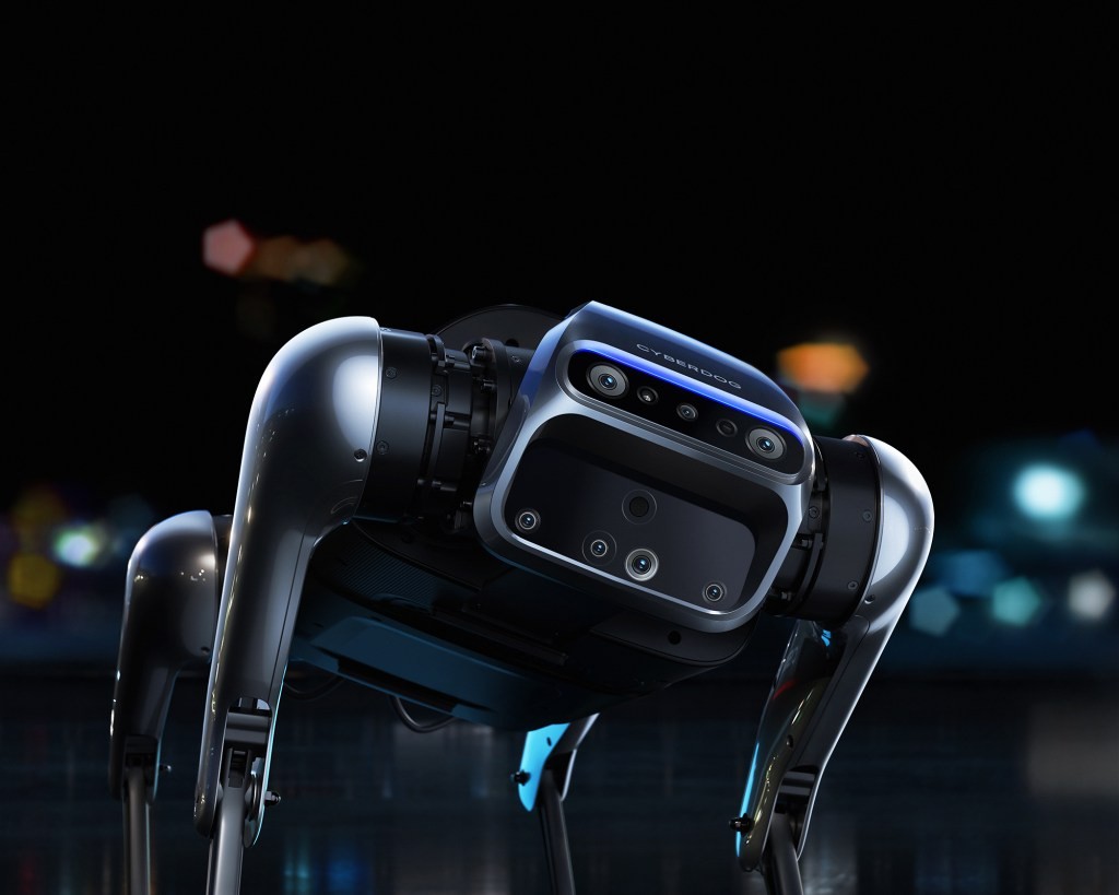 Cyberdog - Explore the Digital Frontier