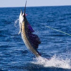 What is Phishing? Techniques Used by Scammers
