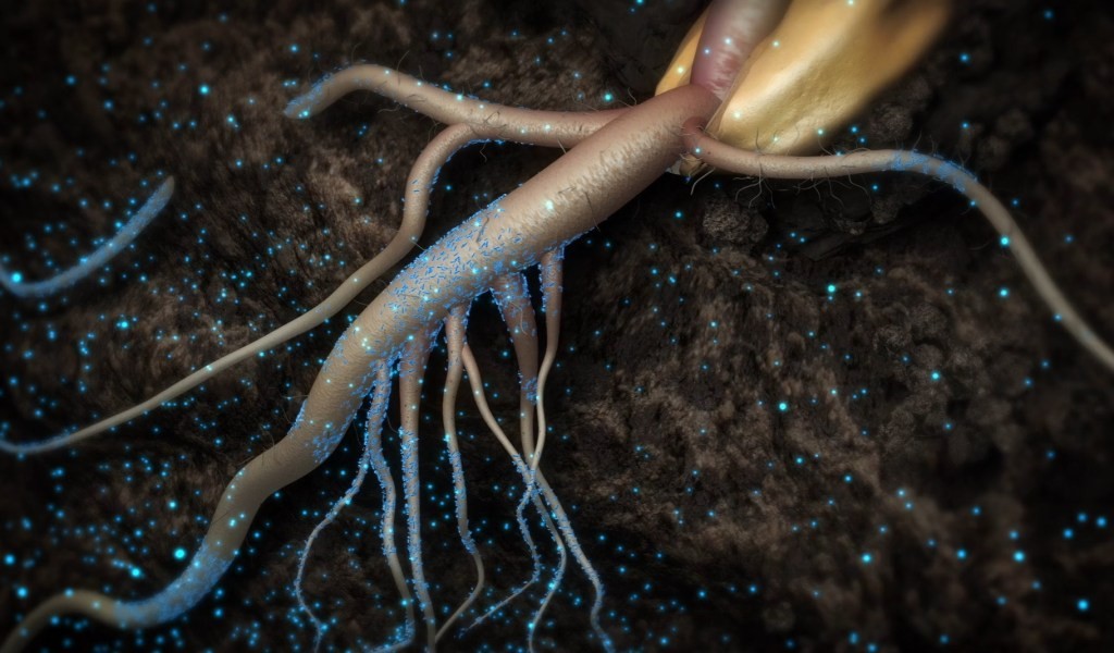 Pivot Bio Secures $430M Funding for Microbial Agriculture