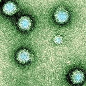 Protect Your PC Without Antivirus: Security Tips