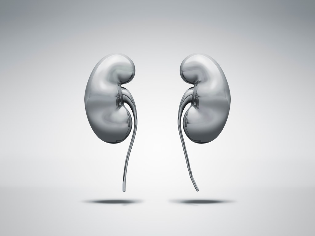 Proton Device for Kidney Disease and Heart Failure Risk Reduction