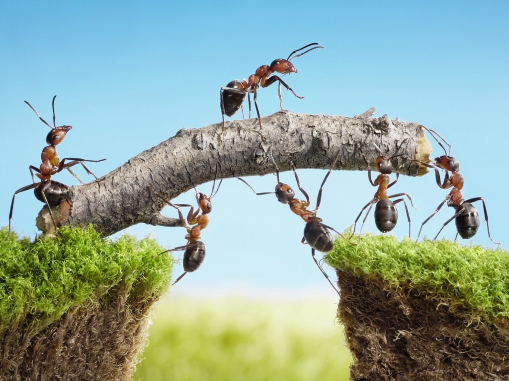 Ant Group IPO Withdrawal Costs Alibaba Billions