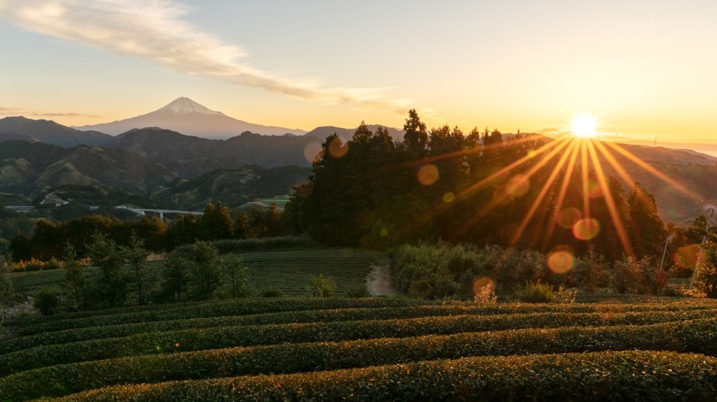 Secai Marche Secures $1.4M Seed Funding - Farm-to-Table Startup