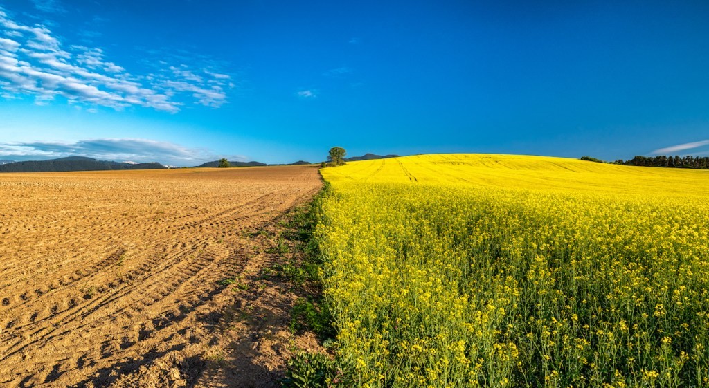 Regenerative Agriculture: A Climate Change Solution