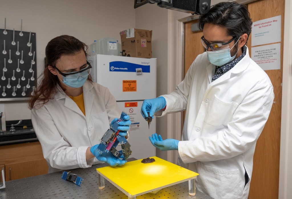 Worm Blobs Inspire Robotic Movement | Innovation News