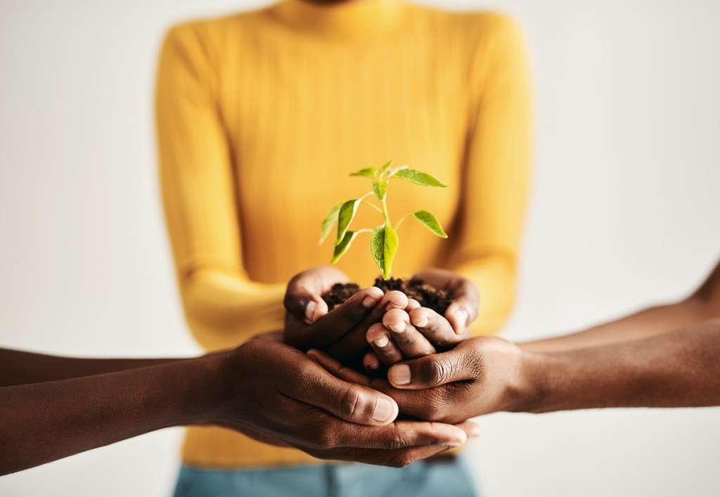 Revenue-Based Financing: A Guide for Private Equity & Startups